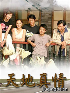 天地真情剧情介绍(1-252全集)海报
