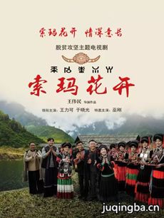 索玛花开剧情介绍(1-32全集)海报