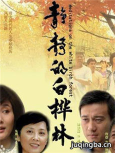静静的白桦林剧情介绍(1-27全集)海报