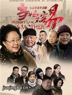 做个母亲不容易剧情介绍(1-34全集)海报