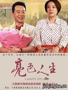 亮色人生剧情介绍_亮色人生剧情简介(1-54全海报