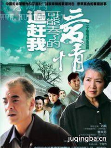 追赶我可能丢了的爱情剧情介绍(1-20全集)海报