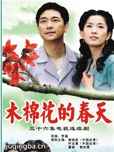 木棉花的春天剧情介绍(1-36全集)海报