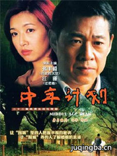 中年计划剧情介绍(1-22全集)海报