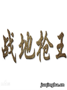 战地枪王剧情介绍(1-23全集)海报