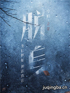 脱身剧情介绍(1-46全集)海报