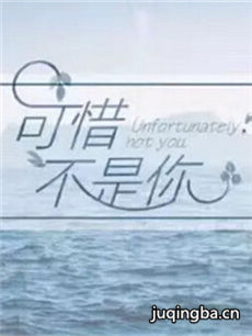 电视剧《可惜不是你》剧情介绍(1-24全集)海报