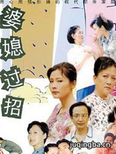 婆媳过招剧情介绍(1-26全集)海报