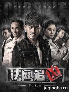 法网追凶剧情介绍(1-12全集)海报