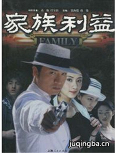 家族利益剧情介绍(1-21全集)海报