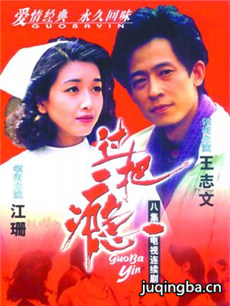 过把瘾剧情介绍(1-8全集)海报