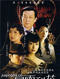 暴雨梨花剧情介绍(1-40全集)海报