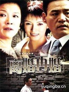 离婚再婚剧情介绍(1-20全集)海报