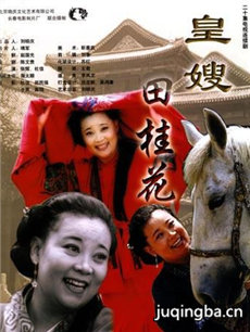 皇嫂田桂花剧情介绍(1-20全集)海报