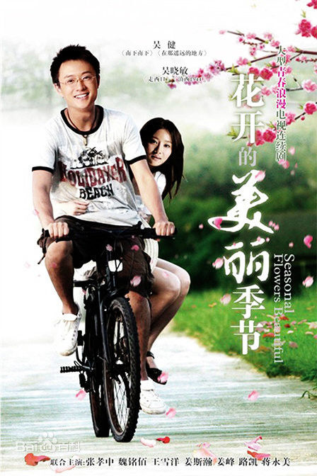 花开的美丽季节剧情介绍(1-24全集)海报