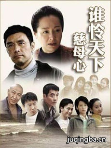 谁怜天下慈母心剧情介绍(1-23全集)海报