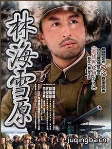 林海雪原剧情介绍(1-28全集)海报