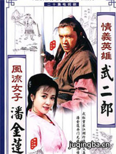 情义英雄武二郎剧情介绍(1-20全集)海报