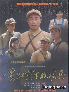 霓虹灯下的哨兵剧情介绍(1-28全集)海报