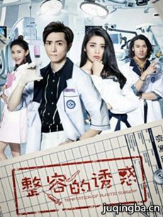 整容的诱惑剧情介绍(1-16全集)海报