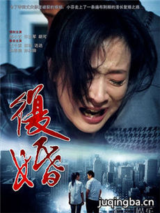 电视剧复婚剧情介绍(1-30全集)海报