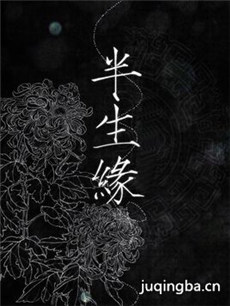 新半生缘剧情介绍(1-30全集)海报