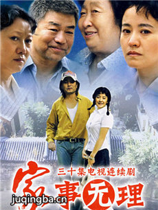 家事无理剧情介绍(1-30全集)海报