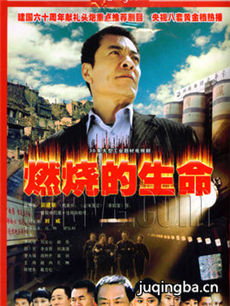 燃烧的生命剧情介绍(1-30全集)海报