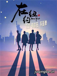 在纽约剧情介绍(1-40全集)海报