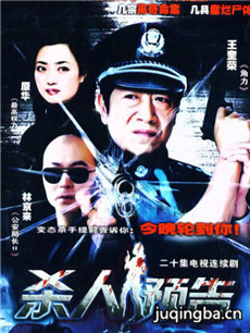 谜案追踪剧情介绍(1-22全集)海报