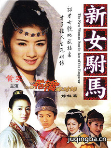 新女驸马剧情介绍(1-22全集)海报