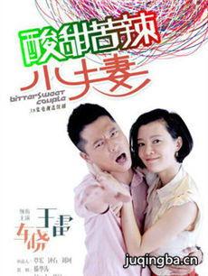 百炼夫妻剧情介绍(1-45全集)海报