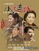小麦进城剧情介绍(1-34全集)海报