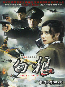 白狼剧情介绍(1-30全集)海报