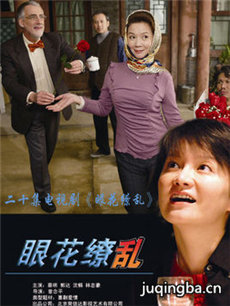 眼花缭乱剧情介绍(1-20全集)海报