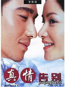 真情告别剧情介绍(1-23全集)海报