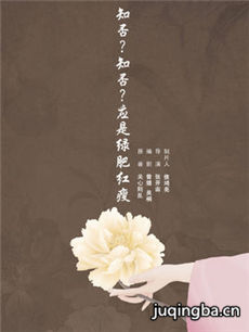 知否知否应是绿肥红瘦