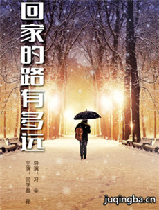 回家的路有多远剧情介绍(1-45全集)海报