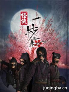 怪侠一枝梅剧情介绍(1-30全集)海报