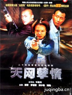 天网孽情剧情介绍(1-24全集)海报