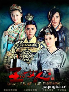 王的女人剧情介绍(1-32全集)海报