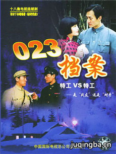 023档案剧情介绍(1-18全集)海报