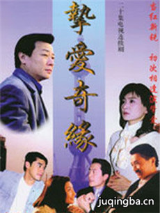 挚爱奇缘剧情介绍(1-20全集)海报
