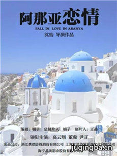 阿那亚恋情剧情介绍(1-40全集)海报