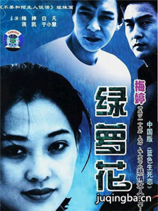 绿萝花剧情介绍(1-25全集)海报