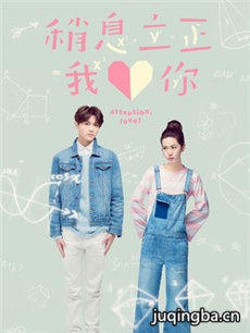 稍息立正我爱你剧情介绍(1-15全集)海报