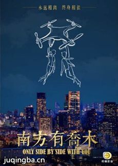 南方有乔木剧情介绍(1-40全集)海报