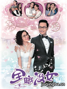 全职没女剧情介绍(1-20全集)海报