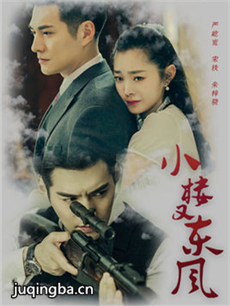 小楼又东风剧情介绍(1-46全集)海报