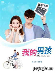 我的男孩剧情介绍(1-20全集)海报